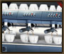 Máquinas de Café Expresso Saeco - Profissionais de Grupo - Aroma SE 300